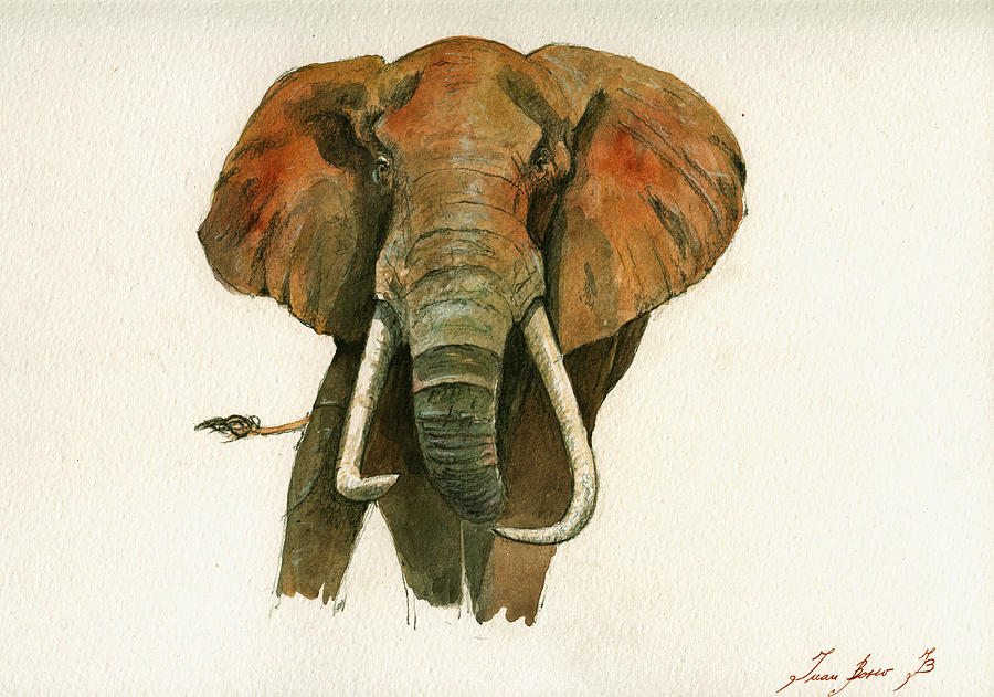 Elephant Painting - Elephant painting           by Juan  Bosco