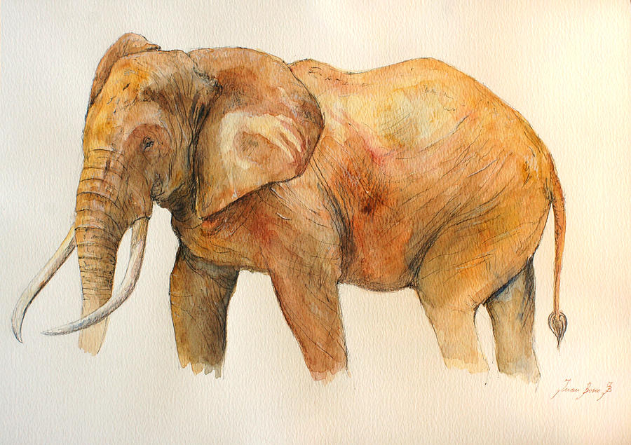 Elephant Painting - Elephant painting  by Juan  Bosco