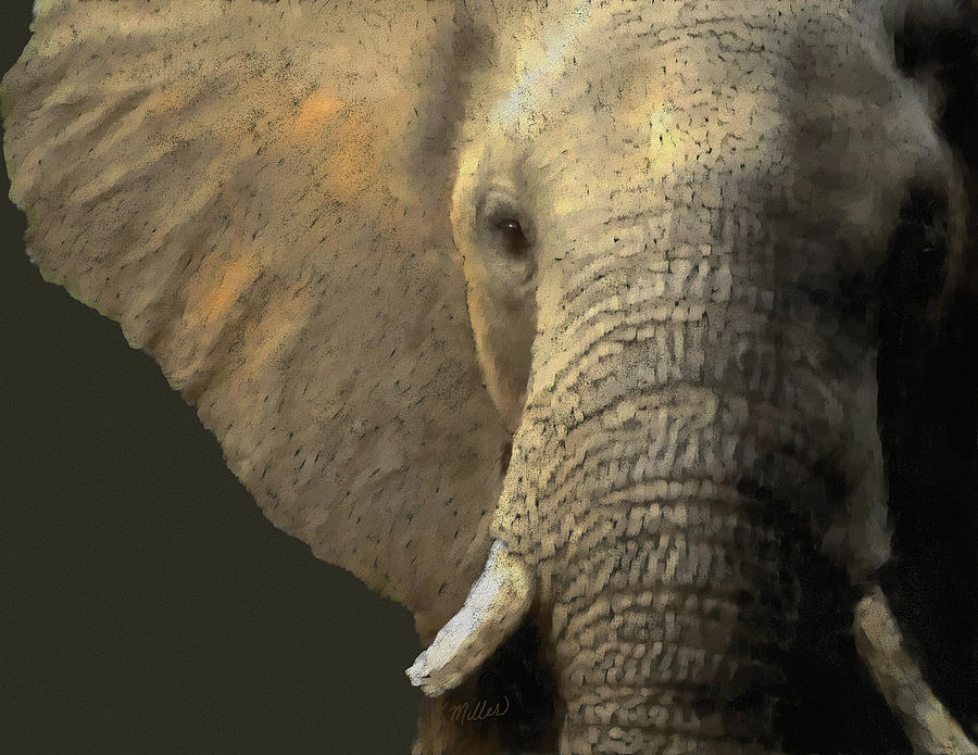 Elephant Portrait Pastel by Kathie Miller