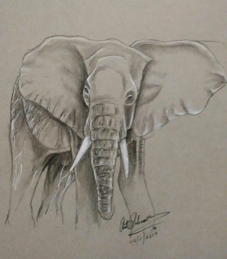 elephant posing art johnson