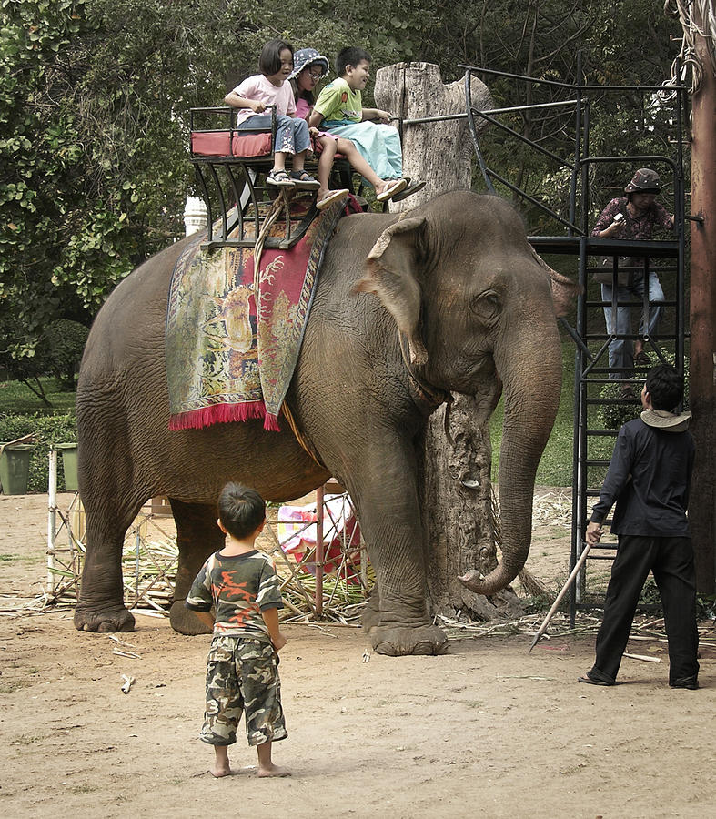 Elephant Ride Photograph by Dusty Wynne