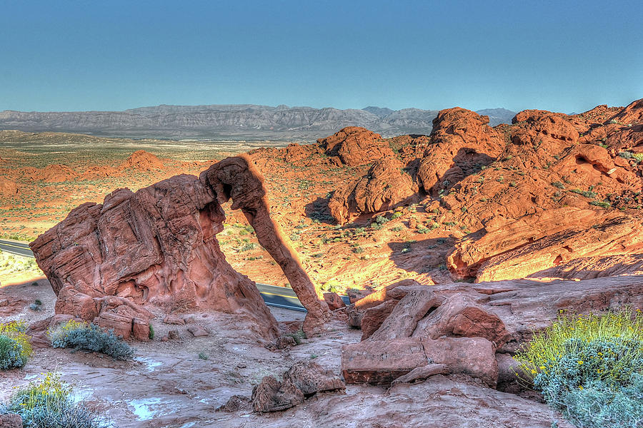 Elephant Rock - HDR - Valley of Fire Photograph by Don Mennig