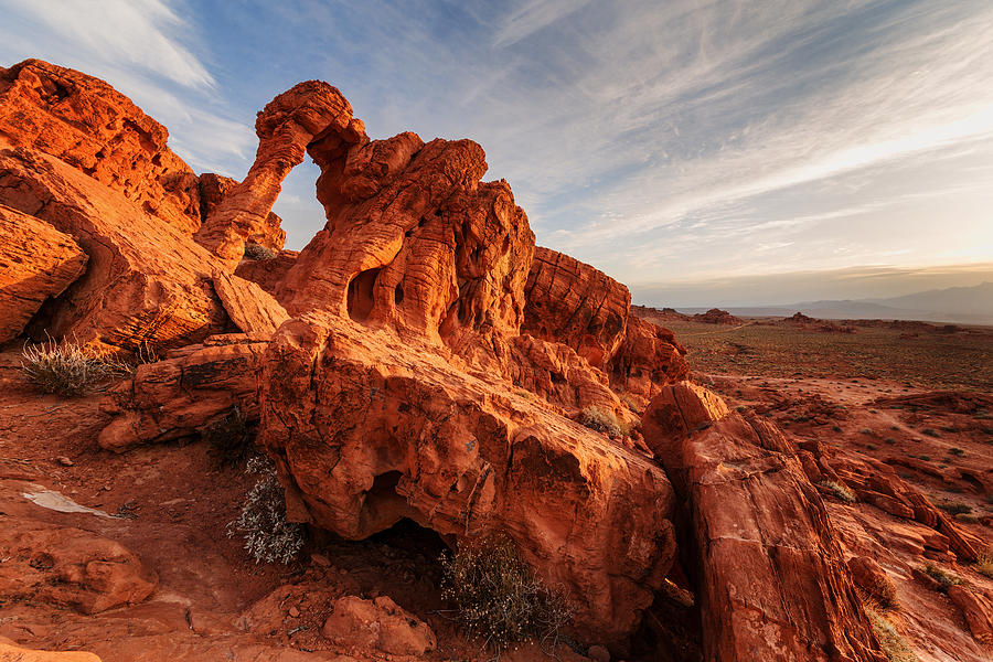 Elephant Rock Photograph by Alex Mironyuk - Pixels