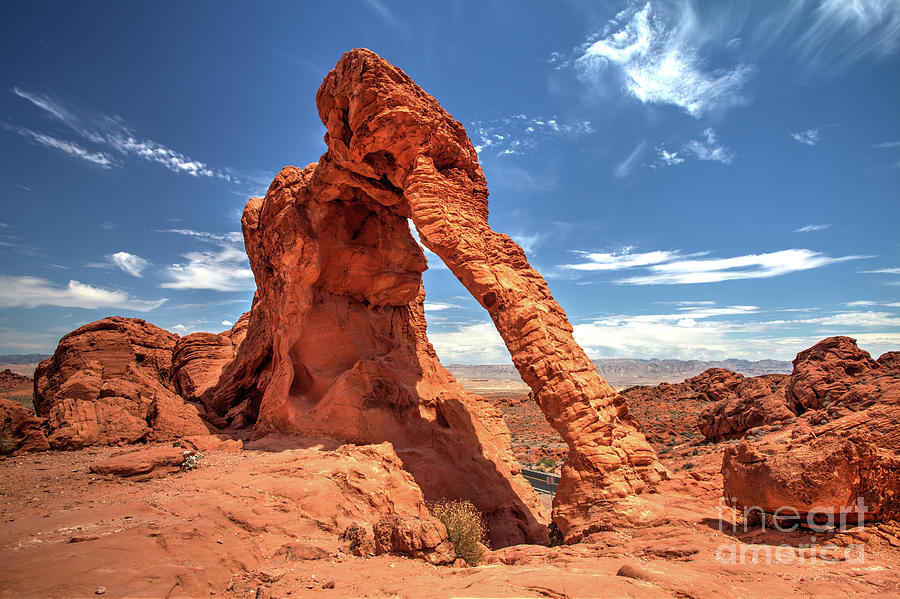 Elephant Rock, Valley of Fire Photograph by Martin Williams