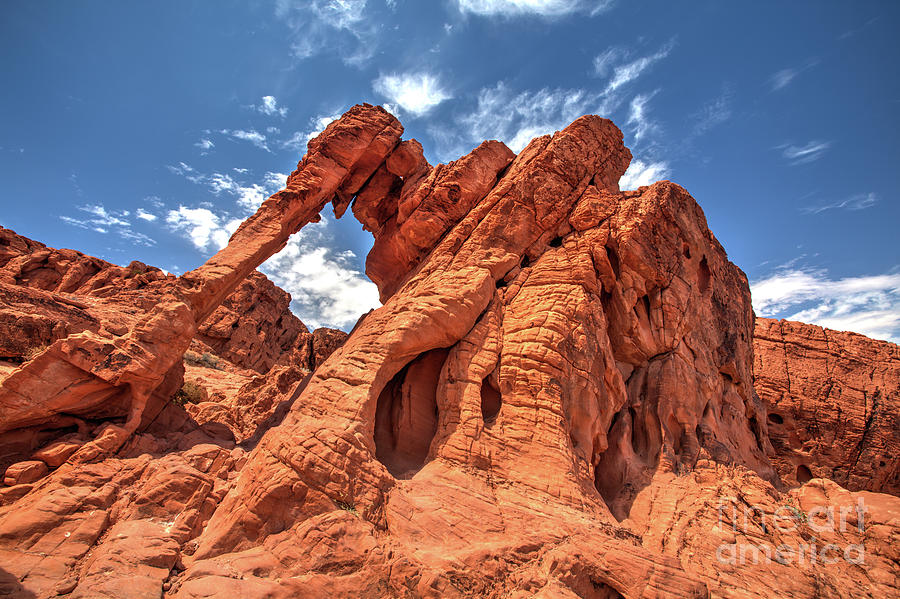 elephant rock valley of fire