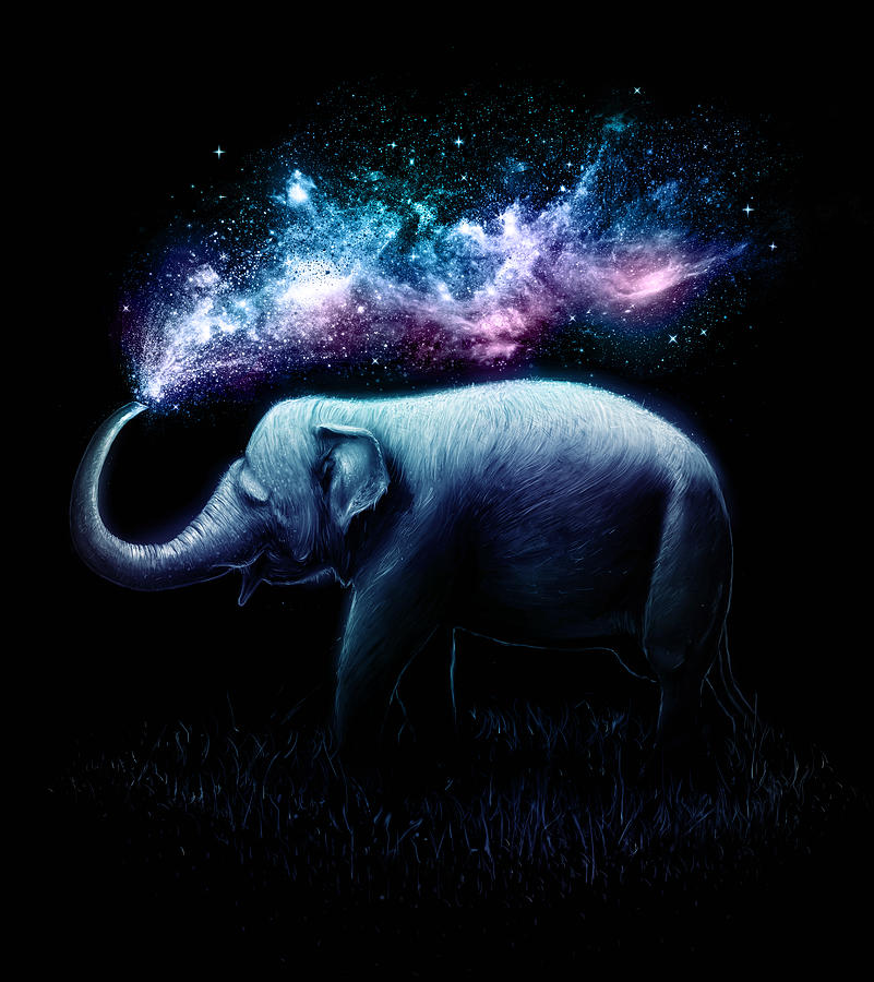 Animal Digital Art - Elephant Splash by Nicebleed  