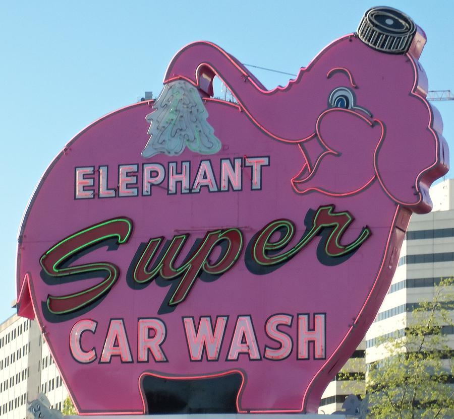 Elephant Super Car Wash Photograph by Randall Weidner