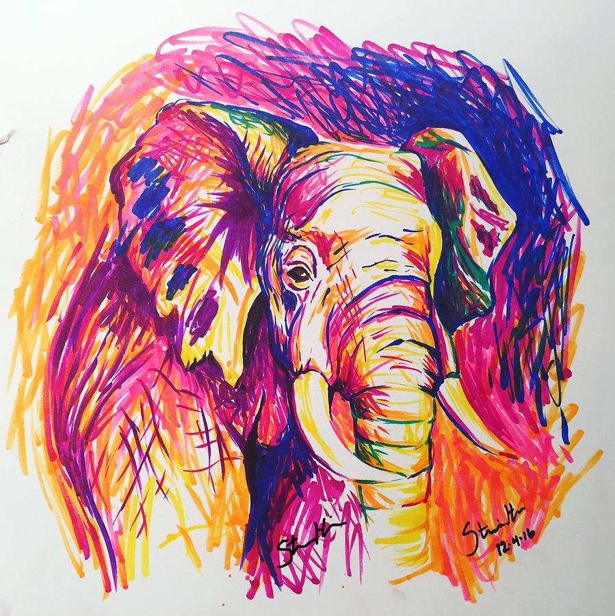 Elephant W Signature Drawing By Stephanie Hazapis - Pixels