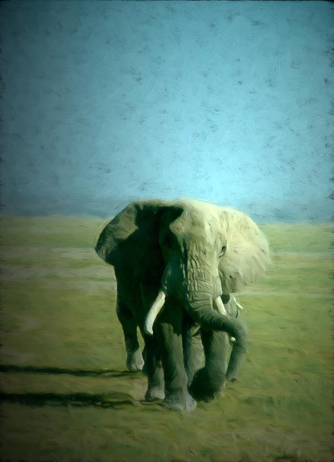 Elephant Walk Digital Art by Cathy Anderson