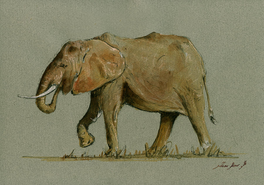Elephant Painting - Elephant Watercolor by Juan  Bosco