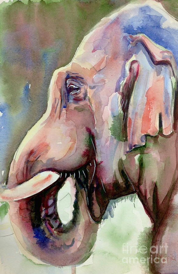 Wildlife Painting - Elephant Watercolor by Maria Reichert