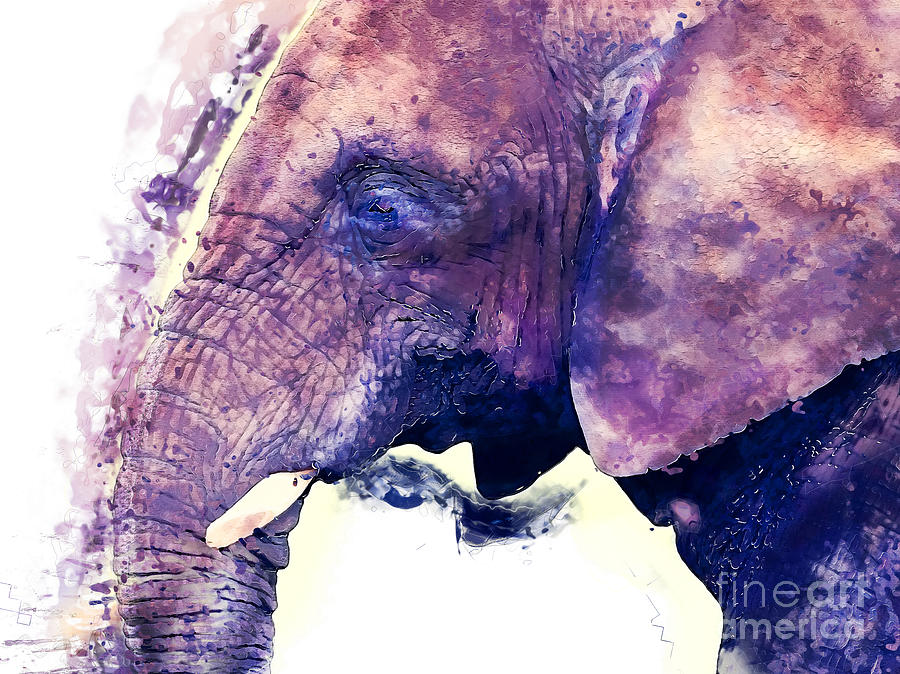 Elephant watercolor painting Painting by Justyna Jaszke JBJart