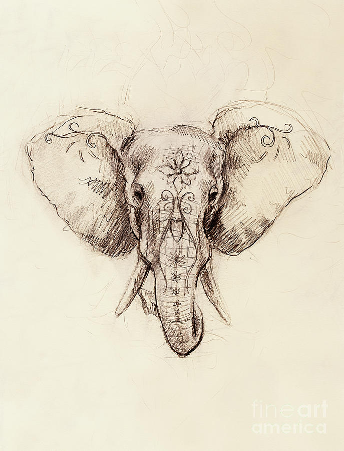 Elephant with floral ornament, pencil drawing on paper. Painting by ...