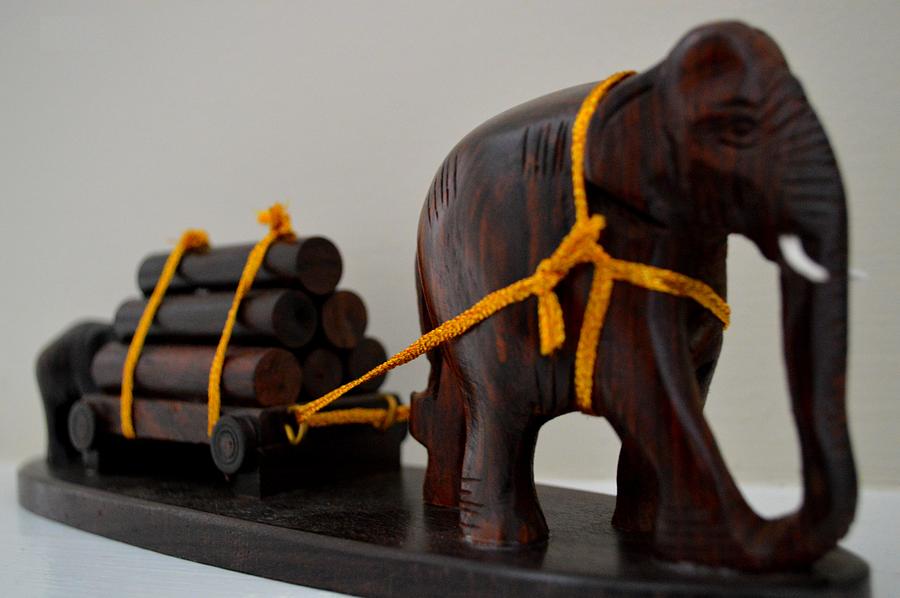 Elephant Wood Carving-1 Photograph