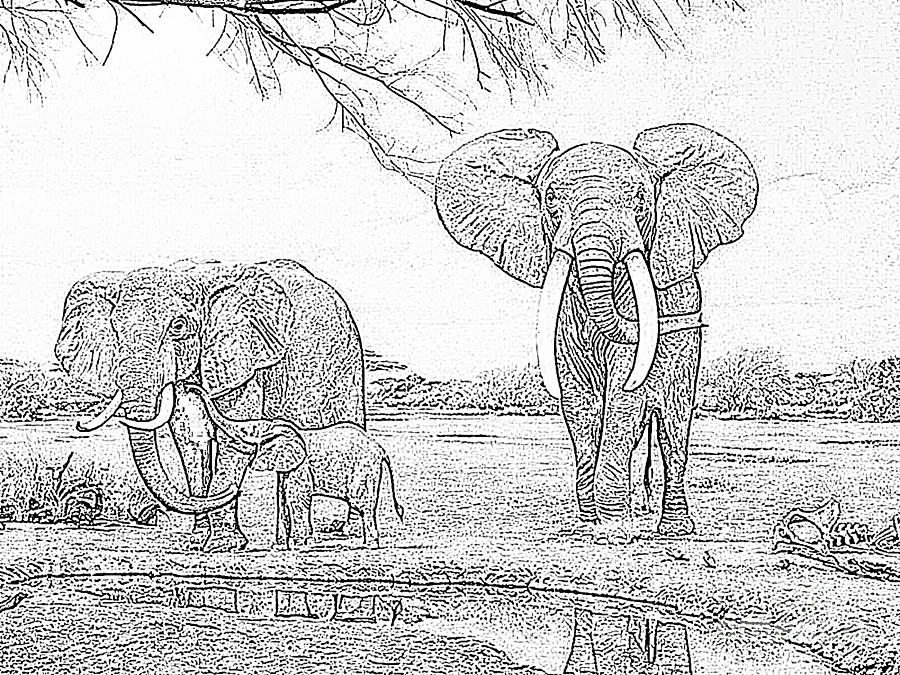 Elephants At The Watering Hole Digital Art