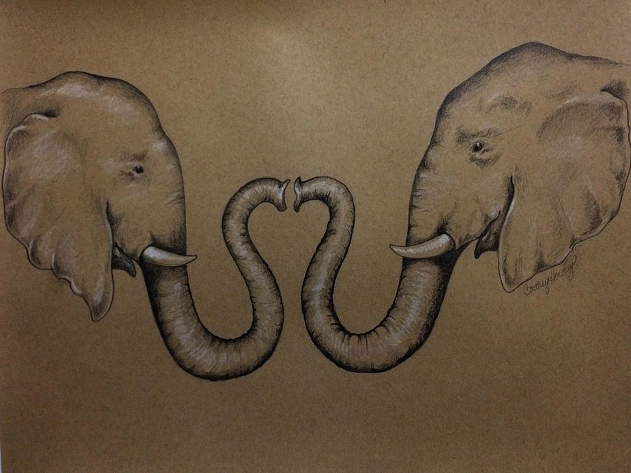 Elephants Drawing by Catherine Howley