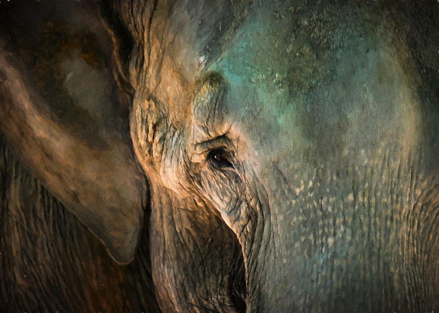 Elephants Eye Digital Art by Charmaine Zoe