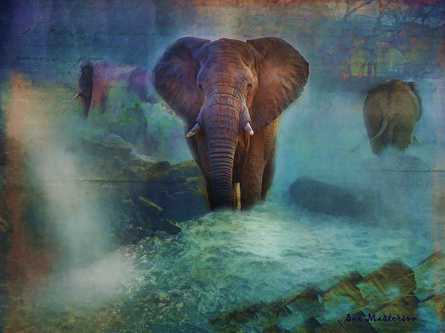 Elephants in the Mist Photograph by Sue Masterson