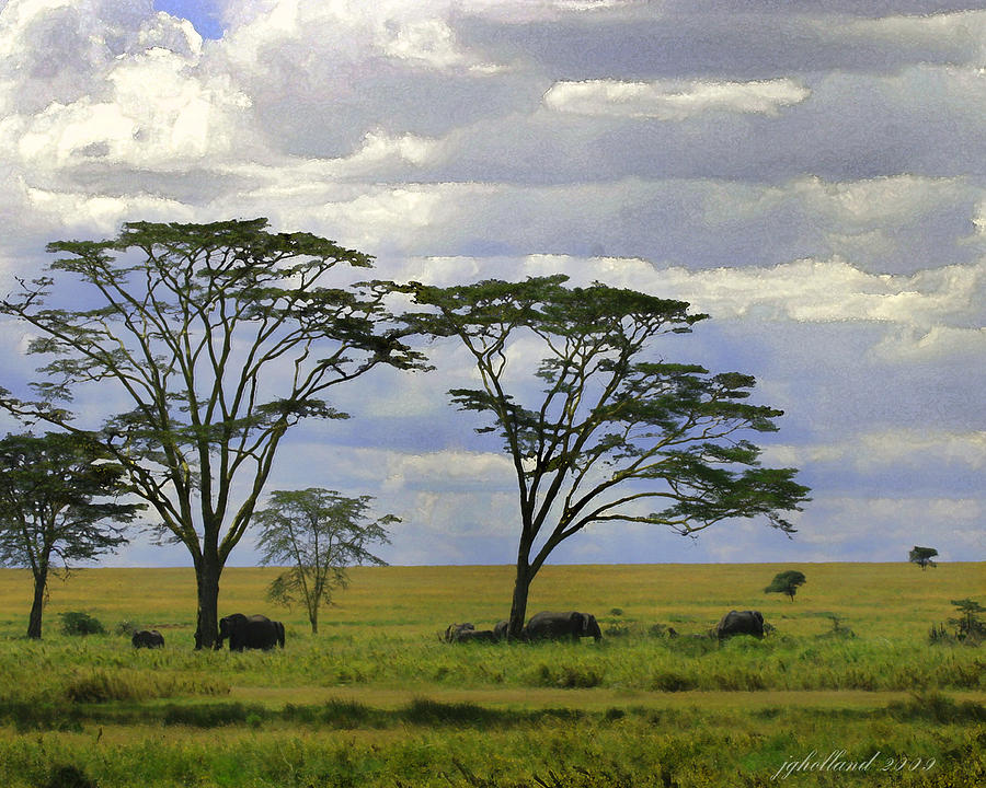 Elephants on the Serengeti Digital Art by Joseph G Holland