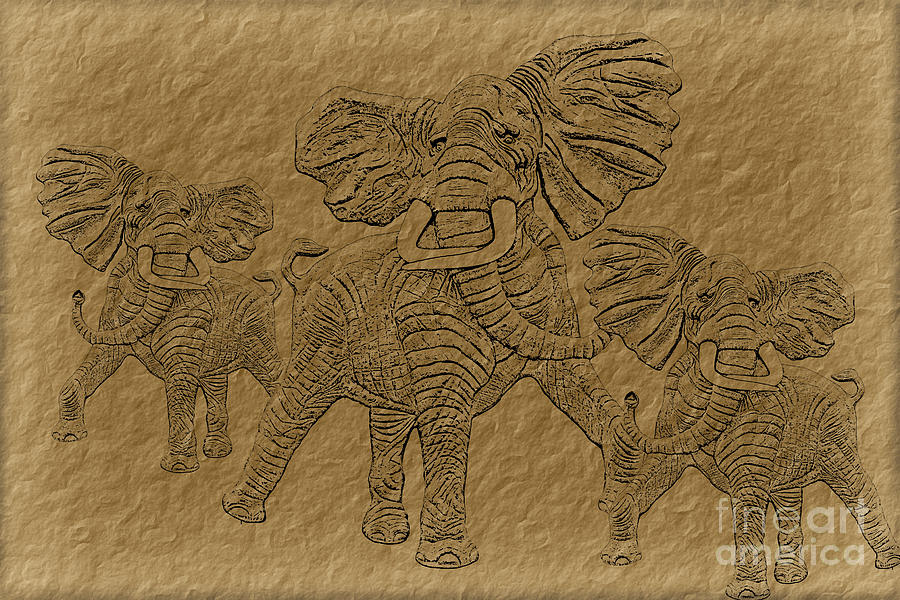 Elephants Three Digital Art by Tim Hightower