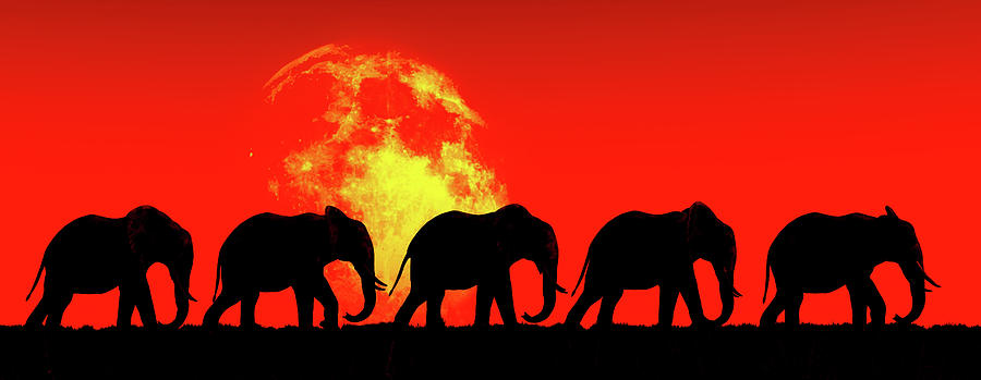 Elephants walk in the red sky Painting by Jan Keteleer