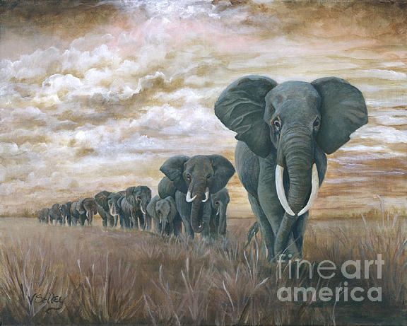 Elephant Painting - Elephants Walk by Virginia Selley