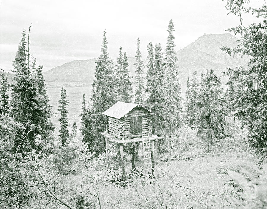 Elevated Alaskan Cabin Cache In Evergreens Photograph By John C   Elevated Alaskan Cabin Cache In Evergreens John Stephens 