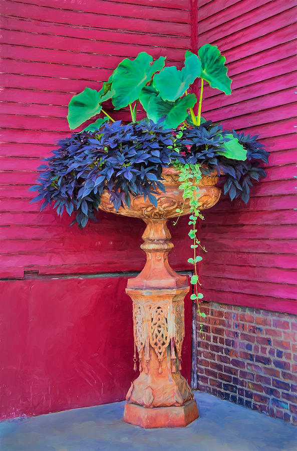 Elevated Basket Of Plants In The Corner Photograph by Gary Slawsky