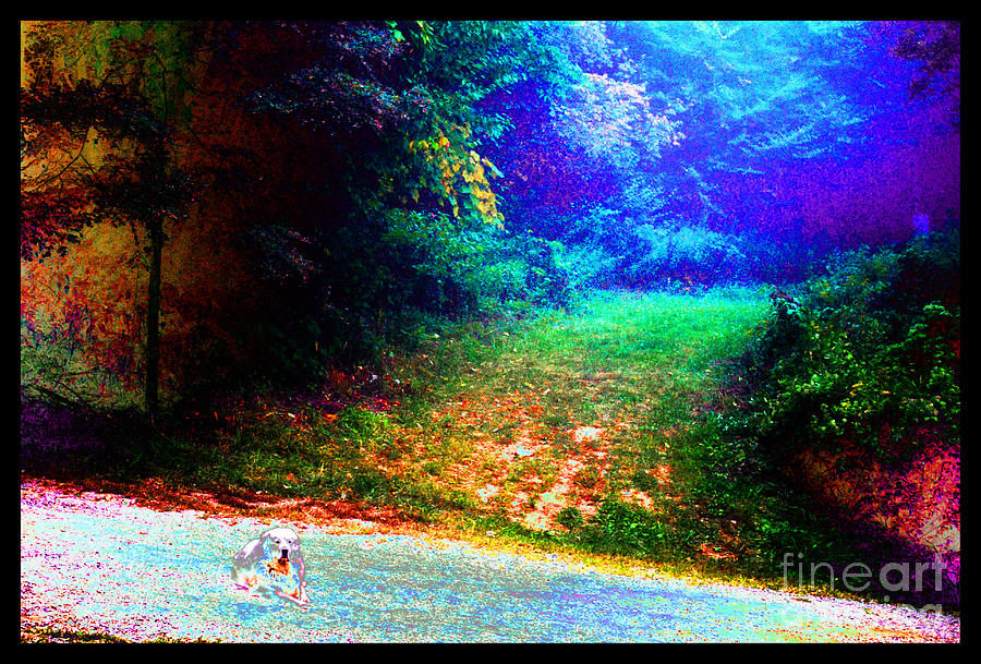 Dimensional Shift Photograph - Eleven Dimensions East by Susanne Still Dimensional Shift Photograph - Eleven Dimensions East by Susanne Still