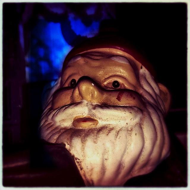 Elf Photograph - #elf #gnome #iphoneography by Judy Green