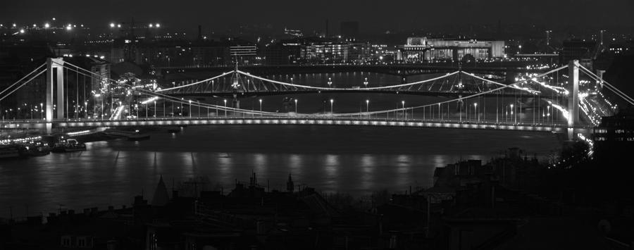 Bridge Photograph - Elizabeth and Liberty Bridges Budapest BW by Joan Carroll