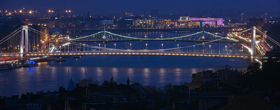 Bridge Photograph - Elizabeth and Liberty Bridges Budapest by Joan Carroll