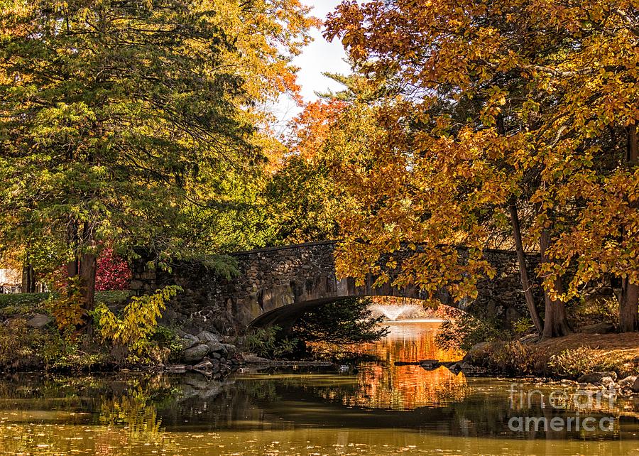 Elizabeth Park Bridge in Autumn Photograph by Lorraine Cosgrove | Fine ...
