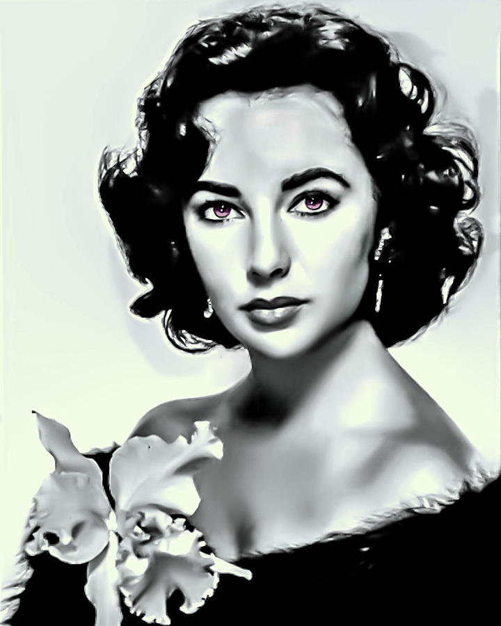 Elizabeth Taylor Photograph by Movie Poster Prints