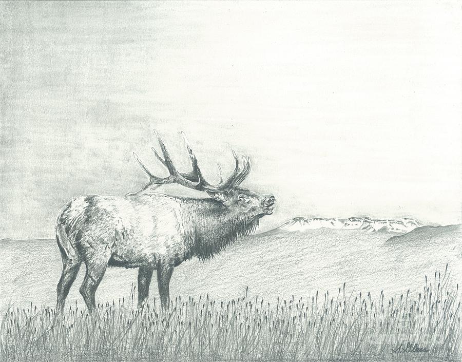 Elk Drawing - Elk and The Flattops by Sarah Bevard