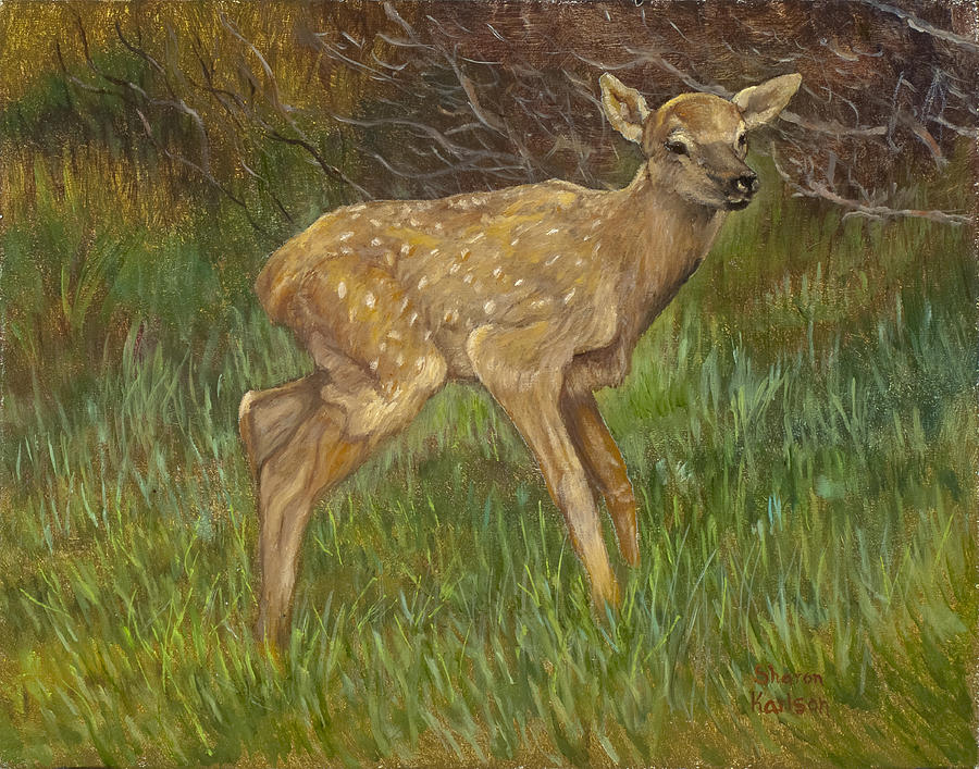 Wildlife Painting - Elk Calf by Sharon Karlson