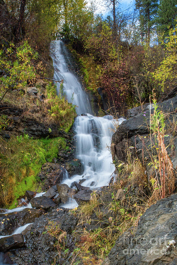 Elk Creek Waterfall Waterscape Art by Kaylyn Franks Photograph by Kaylyn Franks