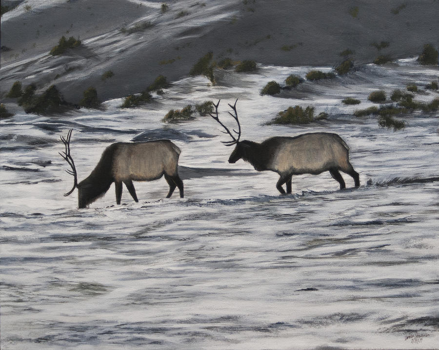 Elk In Snow Painting