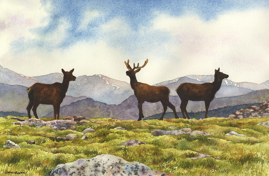 Elk in the Evening Painting by Anne Gifford