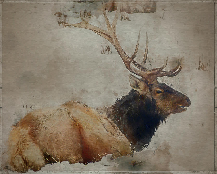 Elk in the Snow Mixed Media by Teresa Wilson