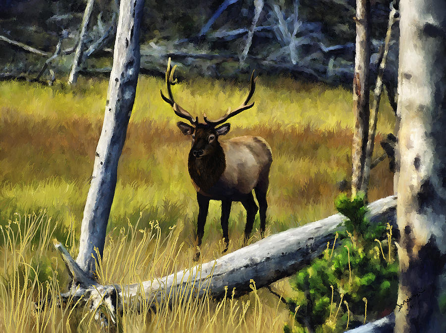 Elk in the Woods Painting by Susan Kinney