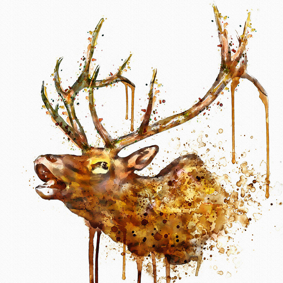 Elk in watercolor Painting by Marian Voicu