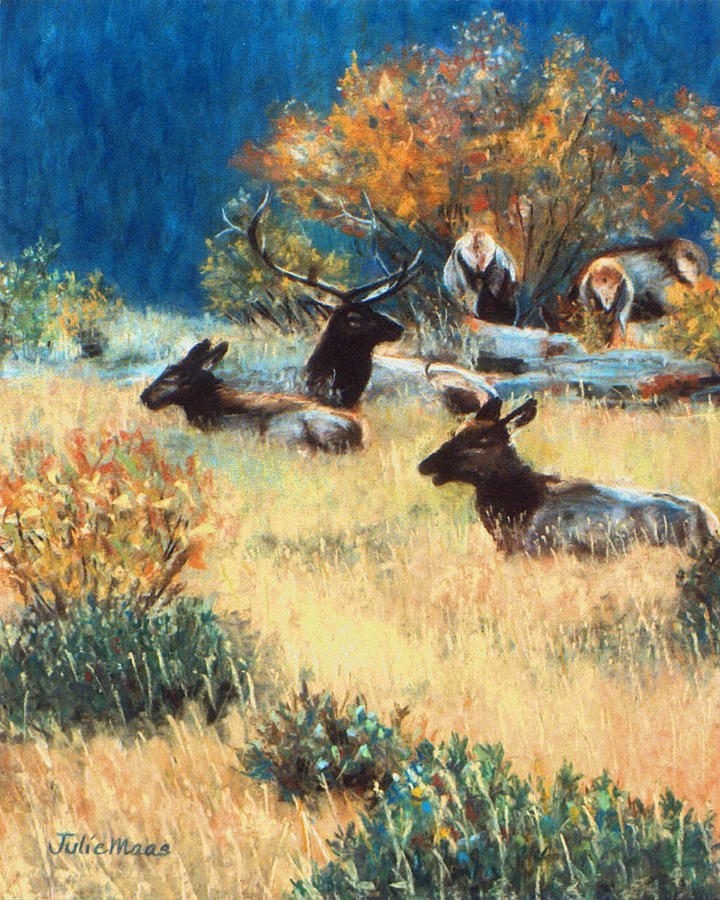 Elk Meadow Pastel by Julie Maas