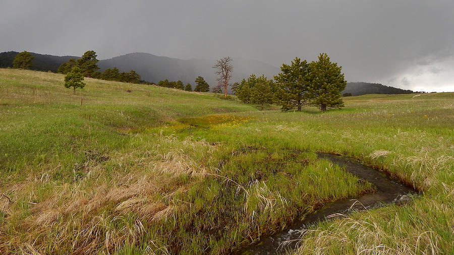 Elk Meadow Rain Photograph by Dan Miller