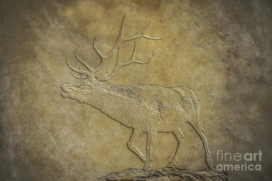 Elk on Bronze Texture Digital Art by Randy Steele