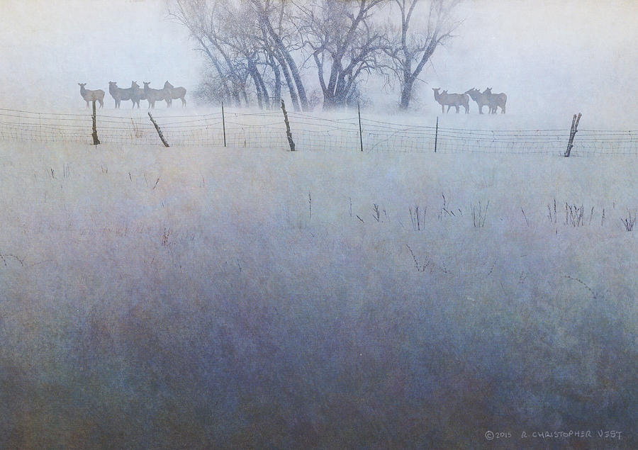 Deer Digital Art - Elk On The Hill by R christopher Vest