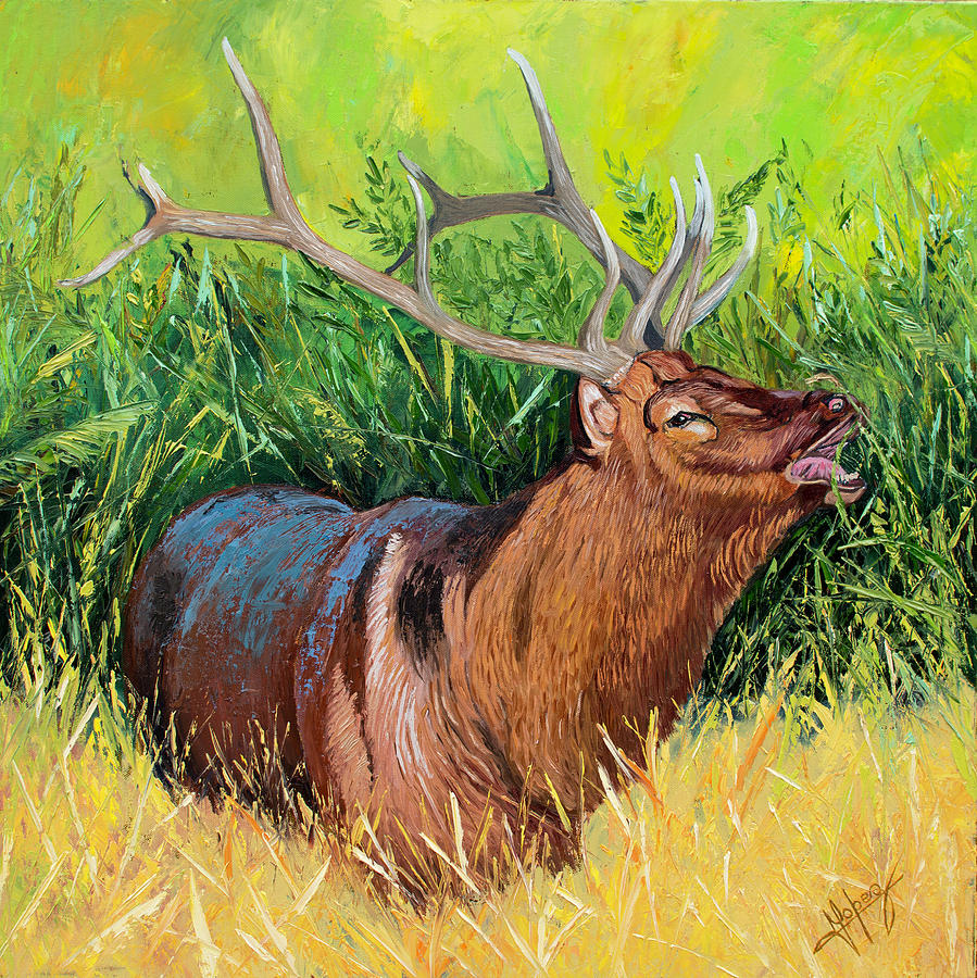 Yellowstone National Park Painting - Elk Original Oil Painting on 24x24x1 inch gallery canvas by Manuel Lopez