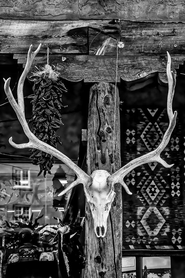 Skull Photograph - Elk Skull In Black And White by Garry Gay