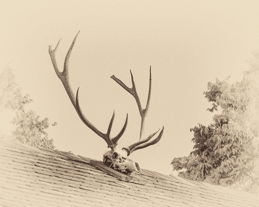 Elkhorn Tavern in Sepia Photograph by James Barber