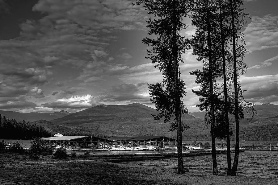 Elkins Marina on Priest Lake Photograph by David Patterson